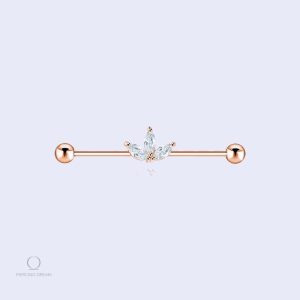 Barbell piercing oreille Delia en style moderne