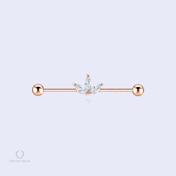 barbell-piercing-oreille-1 Barbell piercing oreille Delia en style moderne