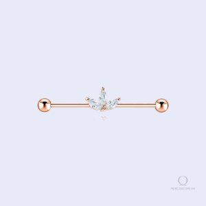Barre piercing industriel Delia en design élégant