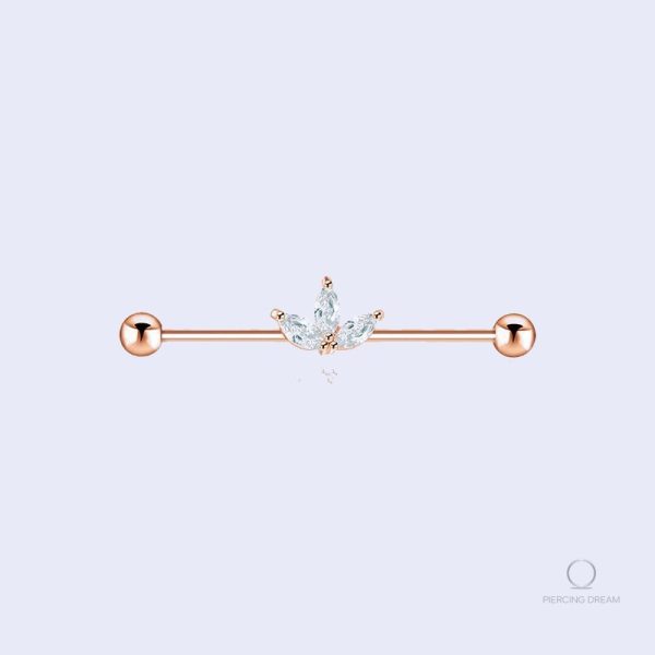 barre-piercing-industriel-1 Barre piercing industriel Delia en design élégant