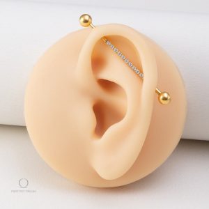 Piercing or pour cartilage, style industriel