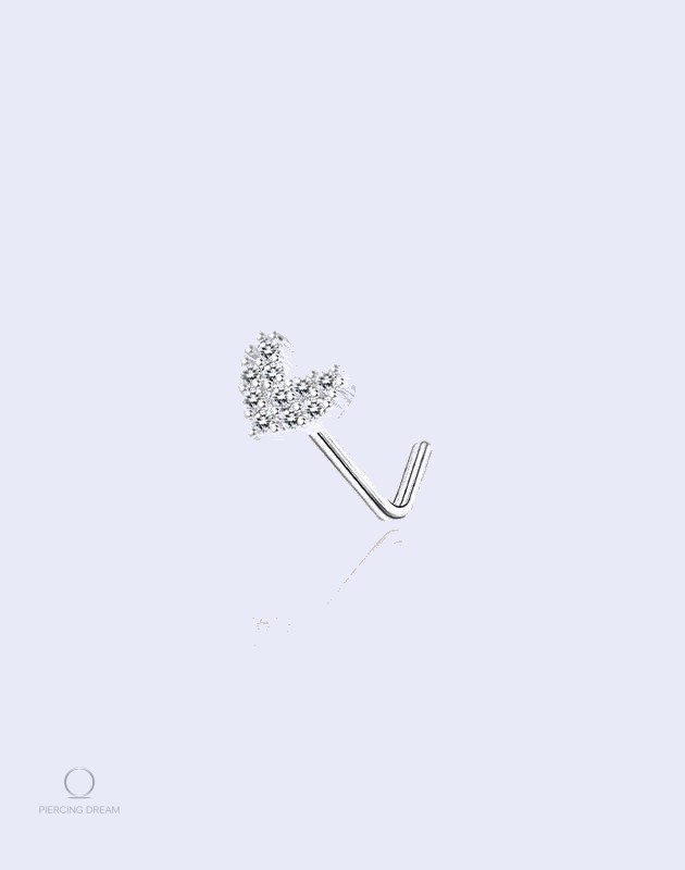 Piercing Nez
